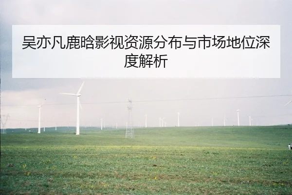 吴亦凡鹿晗影视资源分布与市场地位深度解析